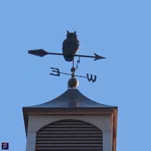 Owl Weathervane on Arrow