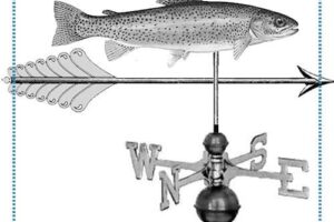 Trout & Arrow Weathervane; Purry Residence – completed
