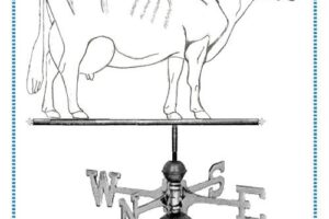 Guernsey  Cow Weathervanes; Great Hill Dairy – completed