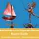 A Brief Introduction to Copper Weathervanes: Buyers Guide