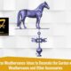 Horse Weathervanes: Ideas to Decorate the Garden with Weathervanes and Other Accessories